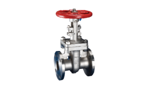 Gate valves